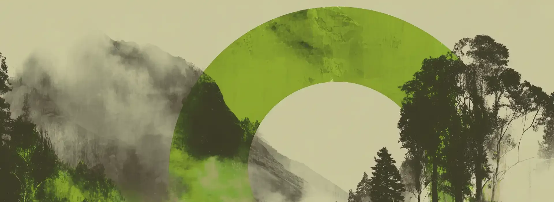 Couverture verte