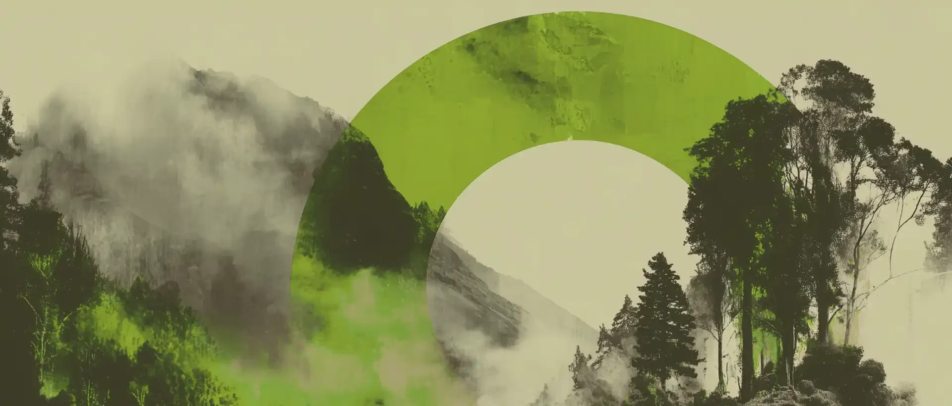 Couverture verte